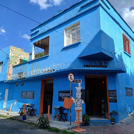 Hostel Jabuticaba 贝洛哈里桑塔 外观 照片