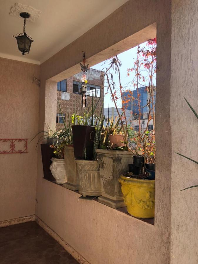 Hostel Jabuticaba 贝洛哈里桑塔 外观 照片
